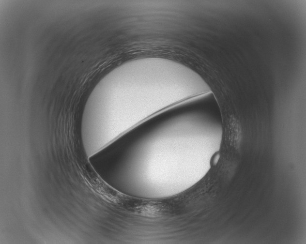 X0000086080412200703231055