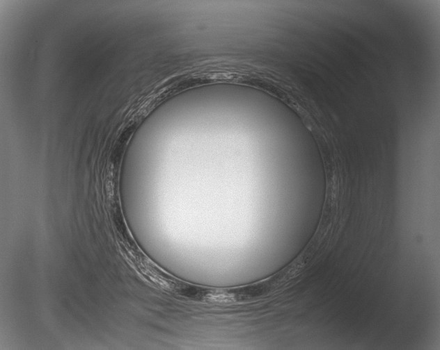 X0000086080413200703231055