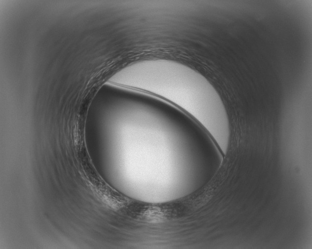 X0000086080416200703231055