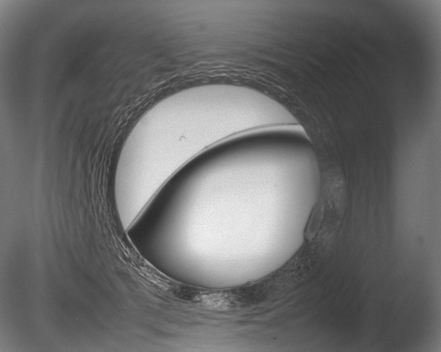 X0000086080417200703231055