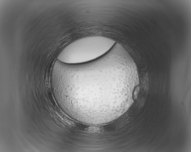 X0000086080418200703231055