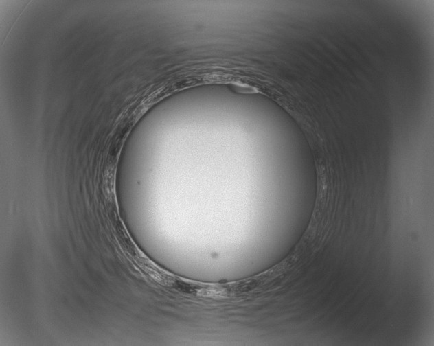X0000086080419200703231055