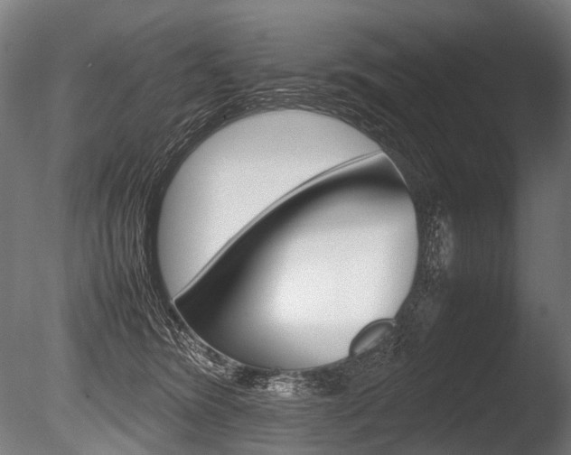 X0000086080420200703231055