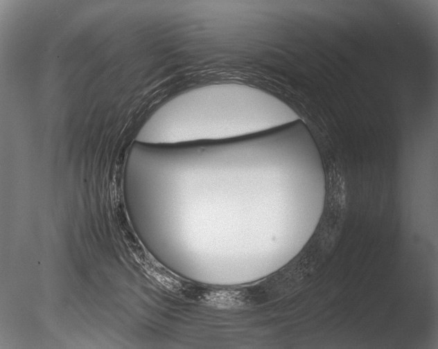 X0000086080422200703231055
