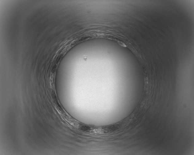 X0000086080423200703231055
