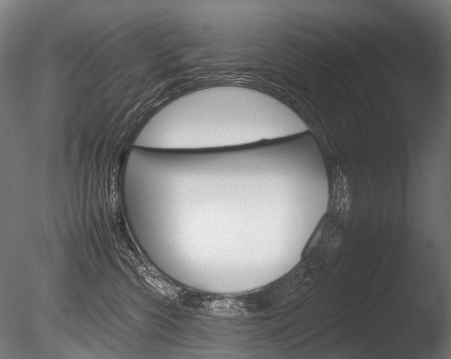 X0000086080426200703231055