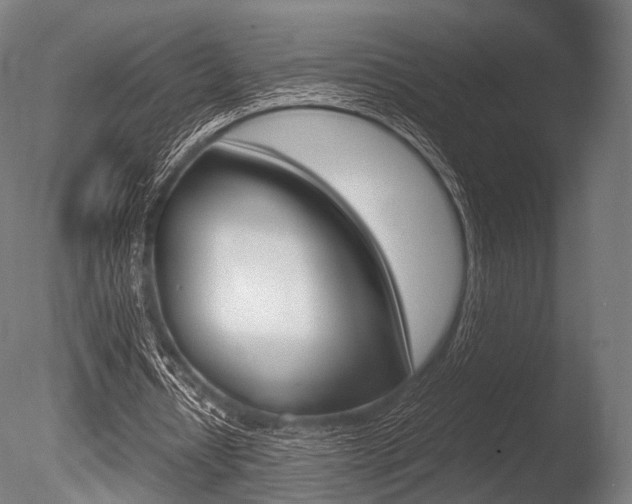 X0000086080434200703231054