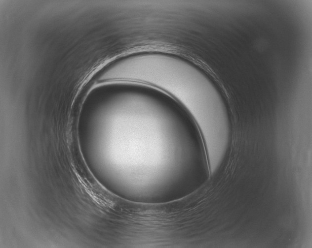 X0000086080436200703231054