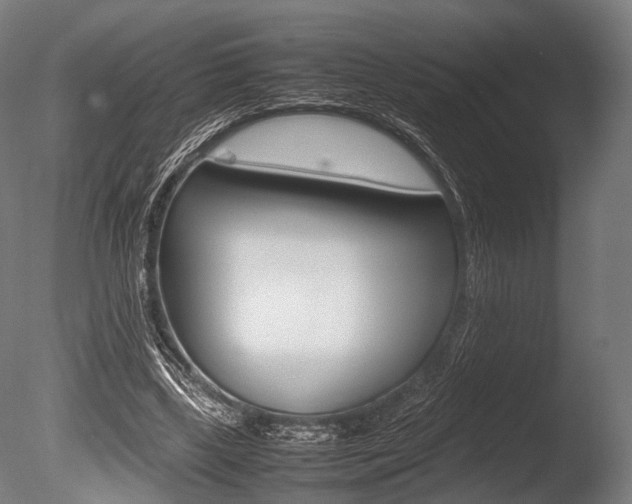 X0000086080443200703231054