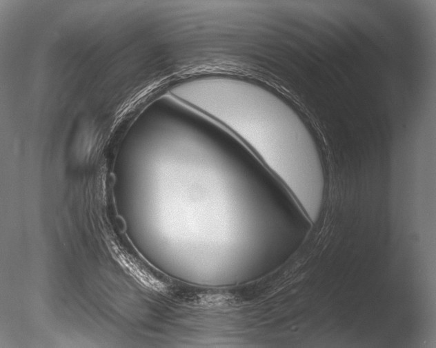X0000086080446200703231054