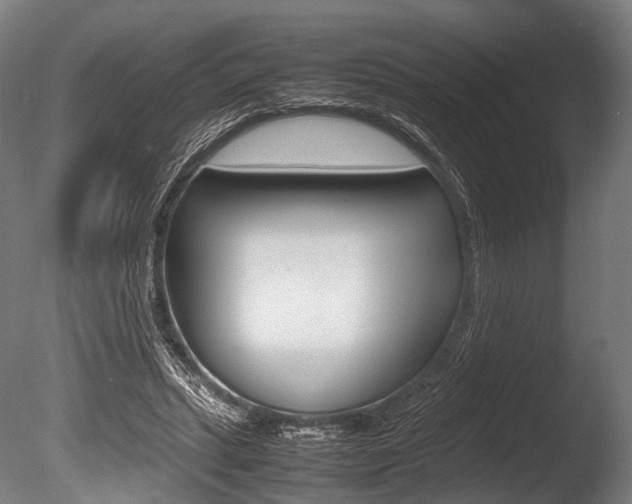 X0000086080447200703231054