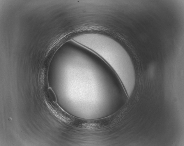 X0000086080448200703231054
