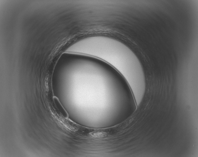 X0000086080452200703231054
