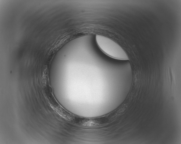 X0000086080460200703231054