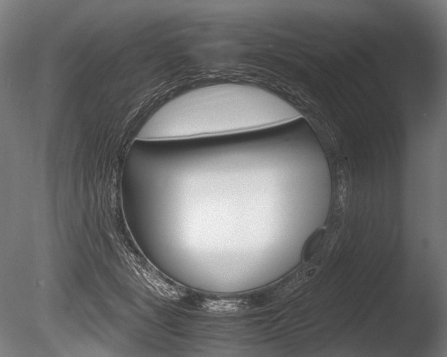 X0000086080461200703231054