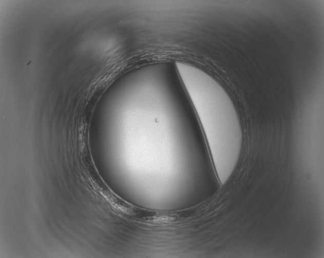 X0000086080462200703231054