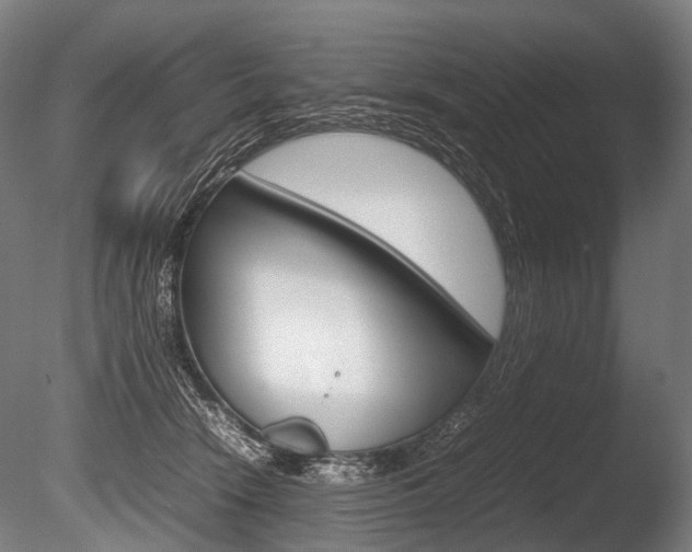 X0000086080466200703231054