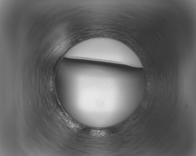 X0000086080469200703231054