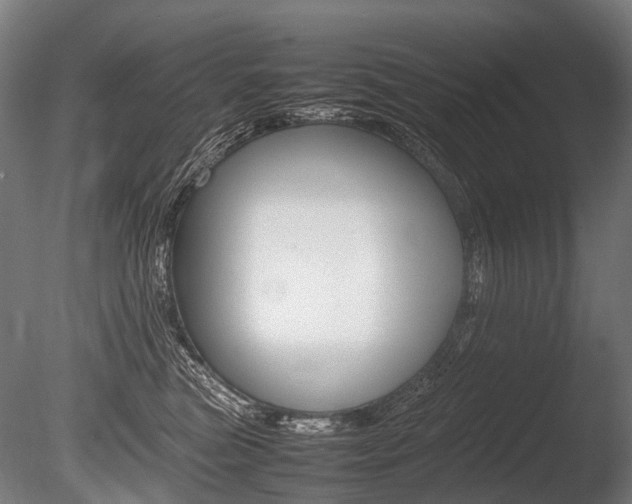X0000086080473200703231054