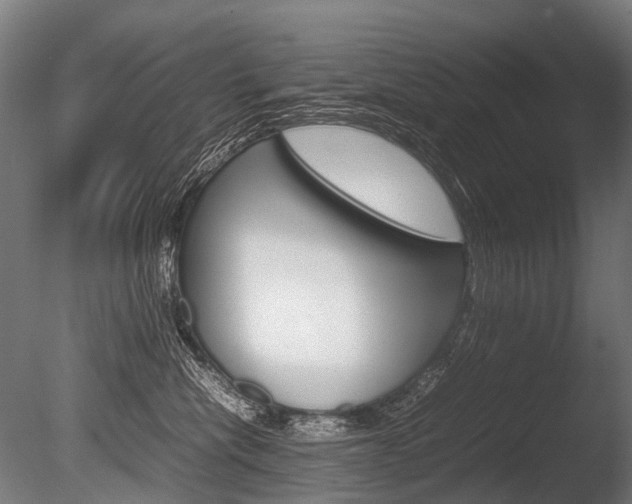 X0000086080476200703231054