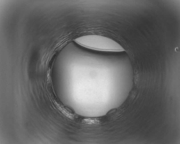X0000086080477200703231054