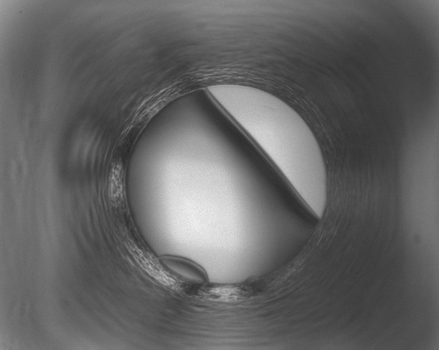 X0000086080478200703231054