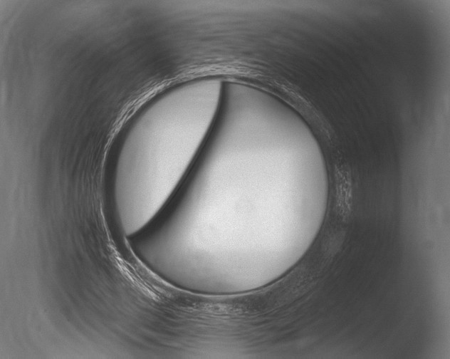 X0000086080486200703231054