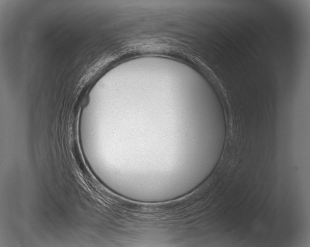 X0000086080487200703231053