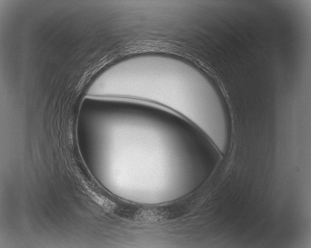 X0000086080489200703231053