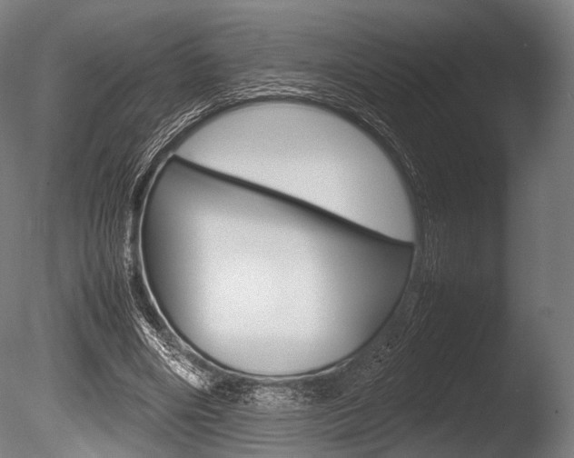 X0000086080490200703231053