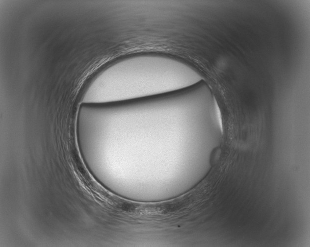 X0000086080491200703231053