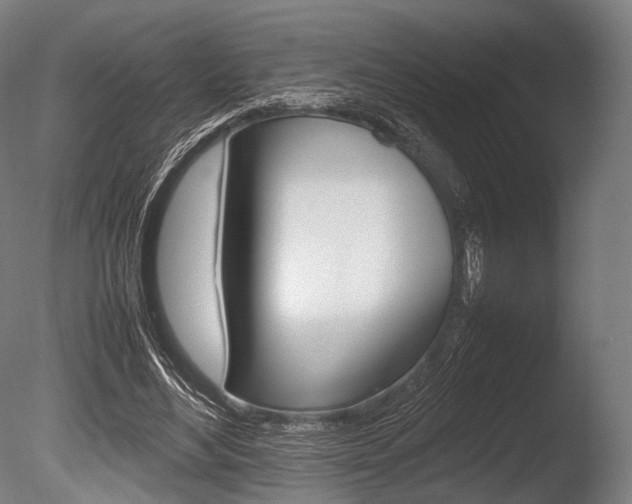 X0000086080492200703231053