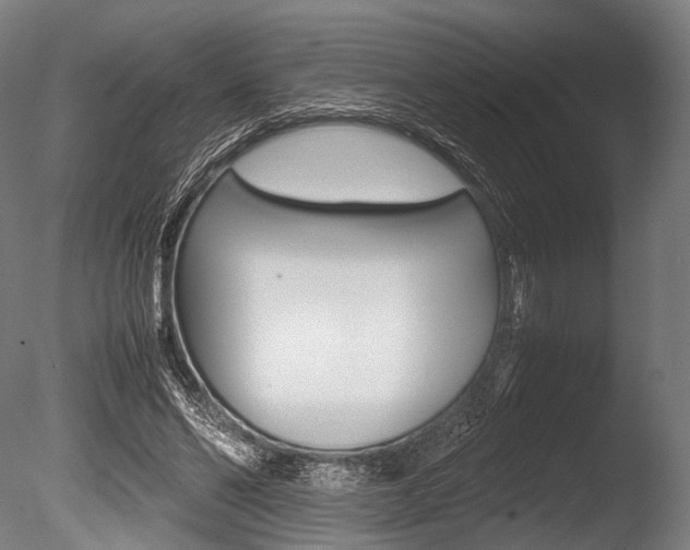 X0000086080494200703231053
