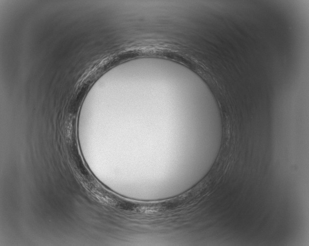 X0000086080495200703231053