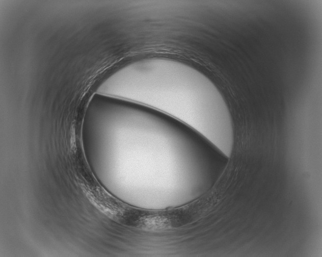 X0000086080500200703231053