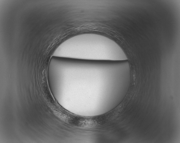 X0000086080503200703231053