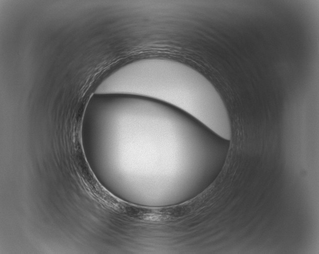X0000086080504200703231053