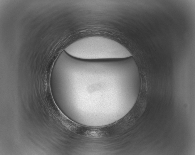 X0000086080506200703231053