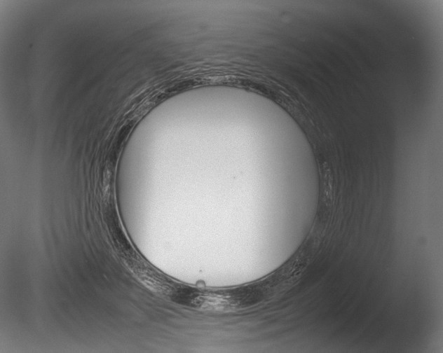 X0000086080507200703231053