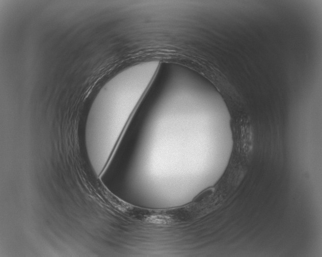X0000086080508200703231053