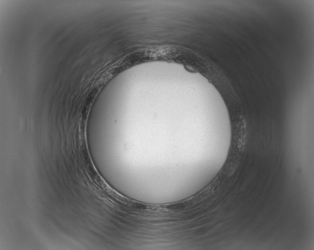 X0000086080510200703231053