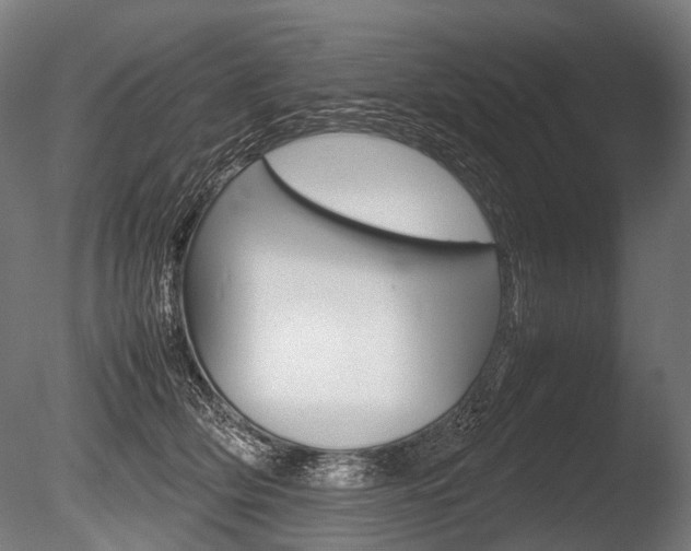 X0000086080514200703231053