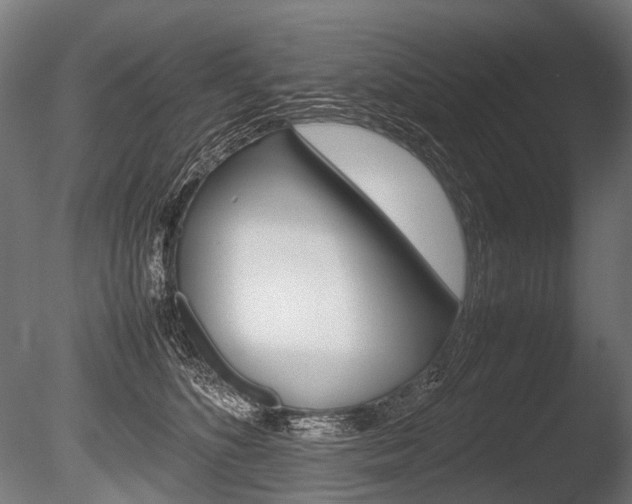 X0000086080516200703231053