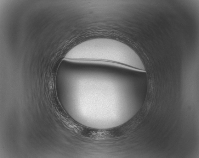 X0000086080517200703231053