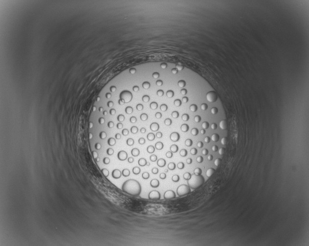 X0000086080519200703231053