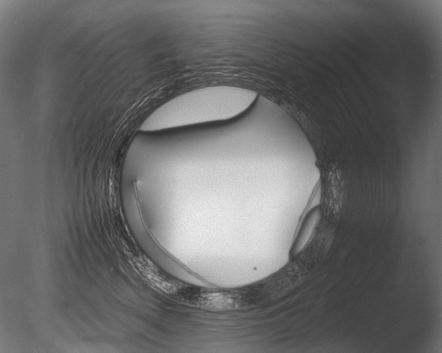 X0000086080522200703231053