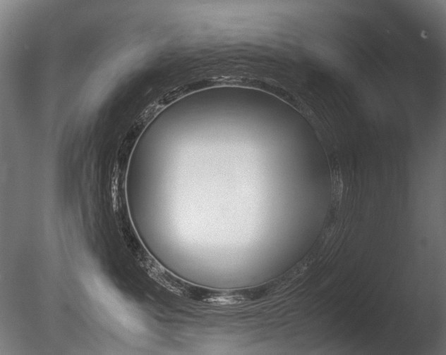 X0000086080525200703231053