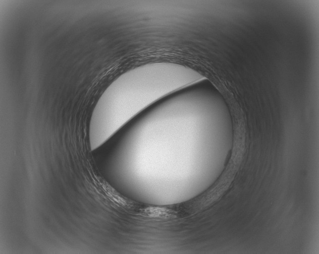 X0000086080528200703231053