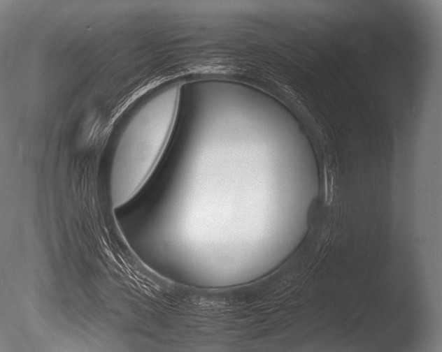 X0000086080531200703231052