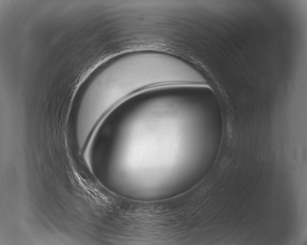 X0000086080532200703231052